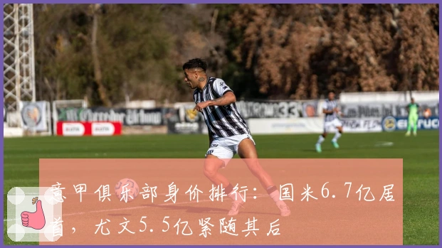 意甲俱乐部身价排行：国米6.7亿居首，尤文5.5亿紧随其后