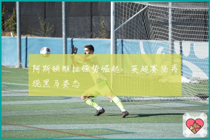阿斯顿维拉强势崛起，英超赛场再现黑马姿态